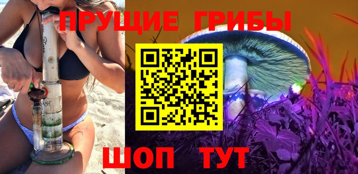 Галлюциногенные грибы Psilocybe  Вход с VPN  что такое   Ханты-Мансийск  Галлюциногенные грибы Cubensis 